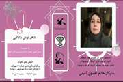 ادبیّت، وجه تمایز زبان گفتار و شعر است