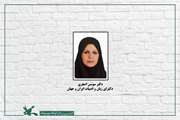 جادوی واژگان و خرد در شاهنامه‌ی فردوسی ما را به دنیایی فرا انسانی پرتاب می‌کند
